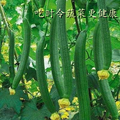 ff303475998e6df60d41b7e9d67cd13c_看图王_副本.jpg