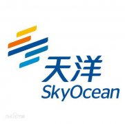 北京天洋国际控股有限公司
